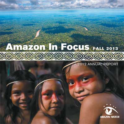 Amazon Watch Report | "Amazon in Focus 2013"