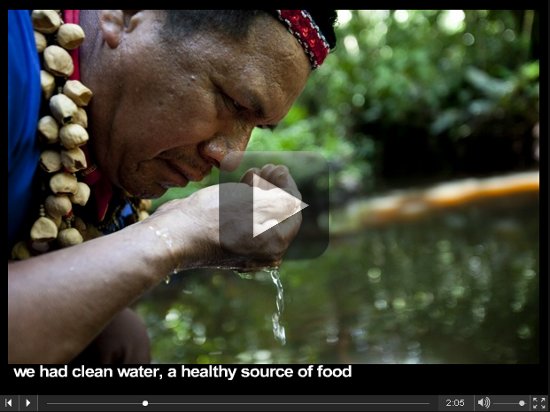 Video - A Message to You from the Ecuadorian Amazon