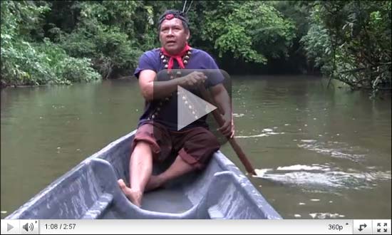 Support ClearWater in the Amazon!