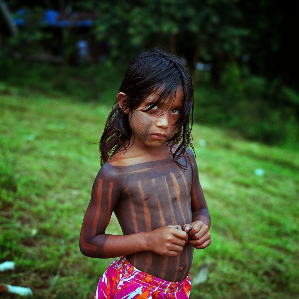 Amazon Watch  An Indigenous Communitys Battle To Save -8294