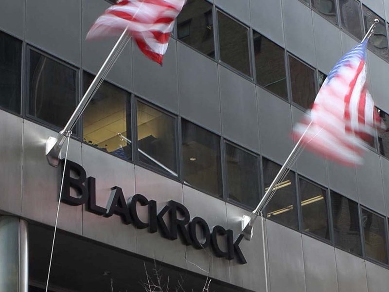 AMAZON WATCH » Throwing Stones at BlackRock's Fossil Fuel Investments