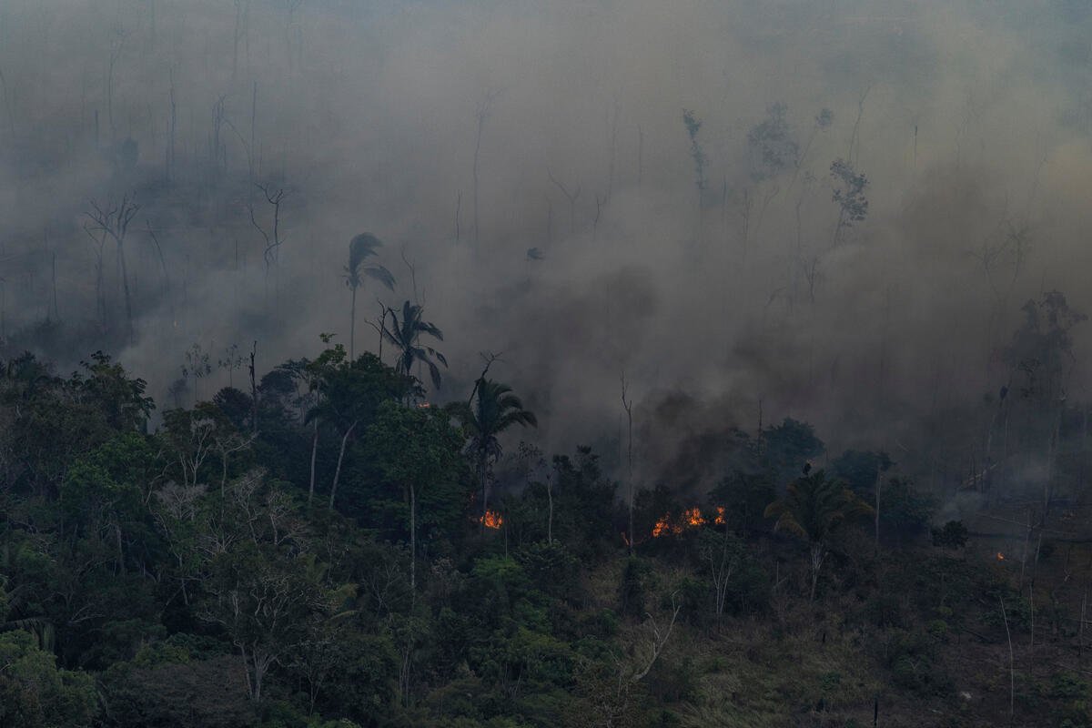 Porto Velho, Rondônia state, Brasil: September 16, 2021. Burning on a degraded area, in the process of deforestation. (Photo: Victor Moriyama / Amazon in Flames Alliance)