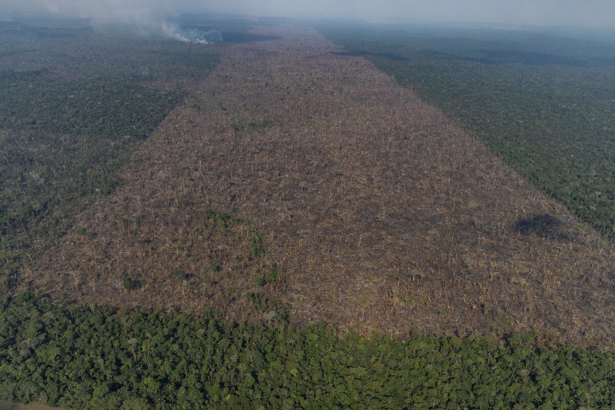 Labrea municipality, Amazonas state, Brazil: September 17, 2021. Aerial view of deforestation for cattle ranching expansion. (Photo: Victor Moriyama / Amazon in Flames Alliance)