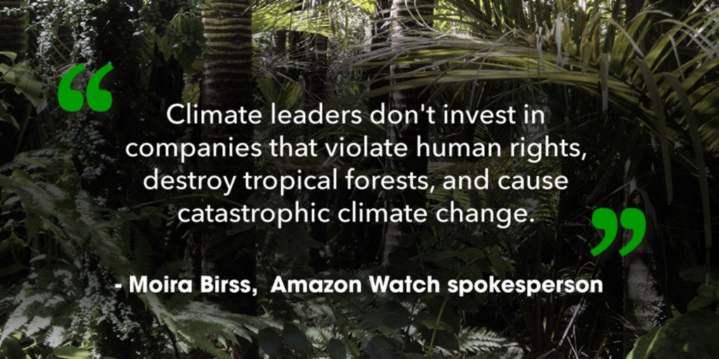 Climate leaders don't invest in companies that violate human rights, destroy tropical forests, and cause catastrophic climate change.