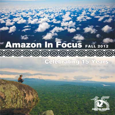 Amazon in Focus 2012