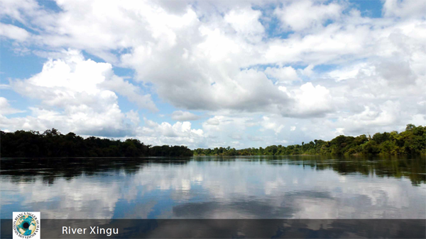 El Xingu. Crédito: Bianca Jagger