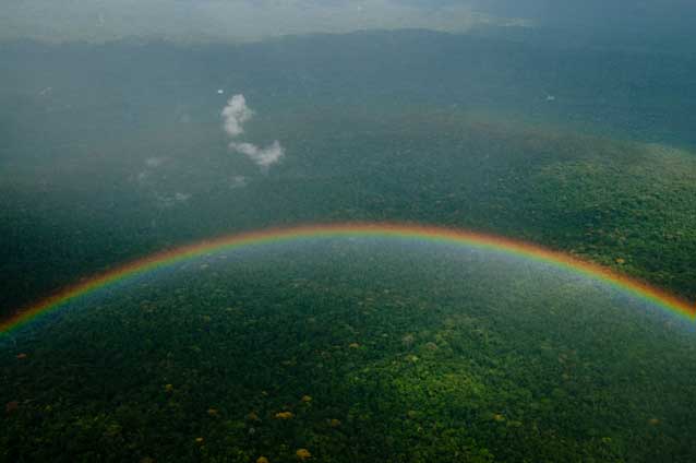 Pristing rainforext in Ecuador