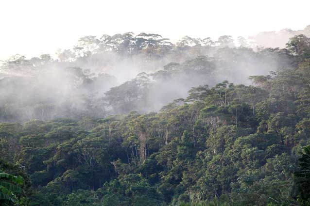 Investors Balking on Ecuador's Amazonian Oil Auction | Amazon Watch