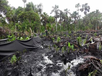 Oil spill in Pacaya Samira reported by indigenous environmental monitors in December 2013. Photo: ACODECOSPAT