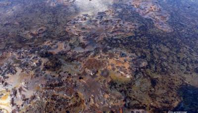 This is a lake within the Pacaya Samira Reserve contaminated with oil. Photo: ACODECOSPAT