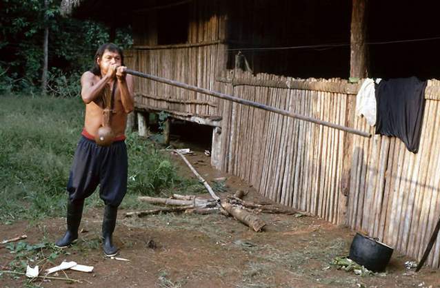 Achuar man with blow gun. Photo by Enrique Amigo, courtesy of Wikimedia Commons.