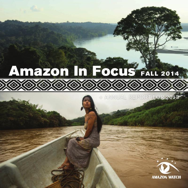 Amazon in Focus 2014