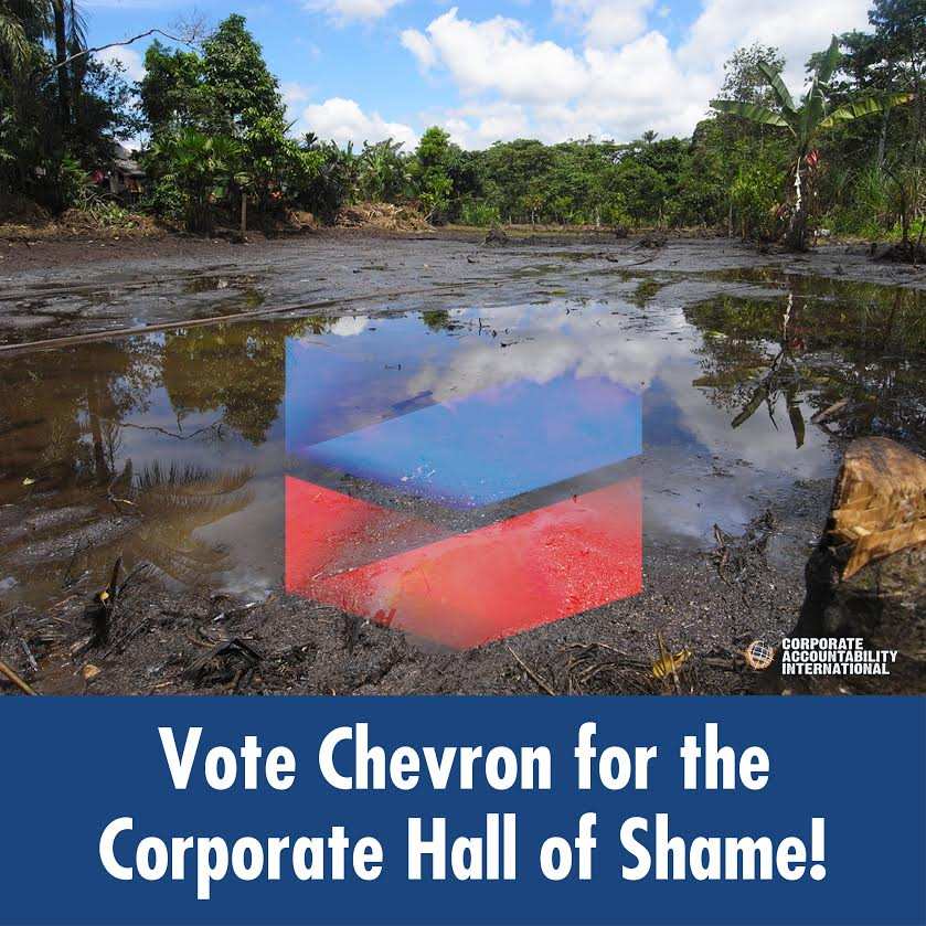 Vote Chevron for the Corporate Hall of Fame!