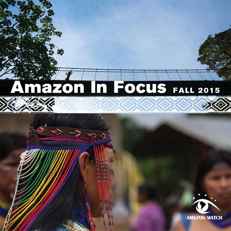 Amazon in Focus 2015