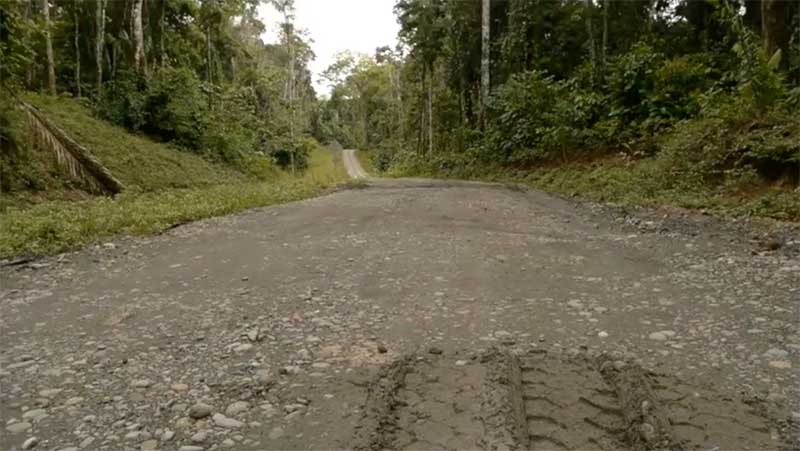 The oil access road filmed by Nina Bigalke in Ecuador's Amazon rainforest.