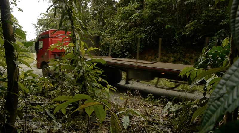 A heavy truck passes along the oil access road deep in Yasuni National Park. Credit: Nina Bigalke