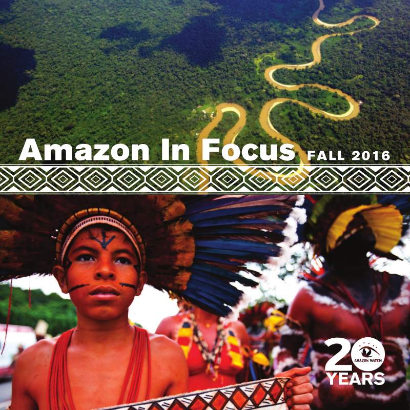 Amazon in Focus 2016