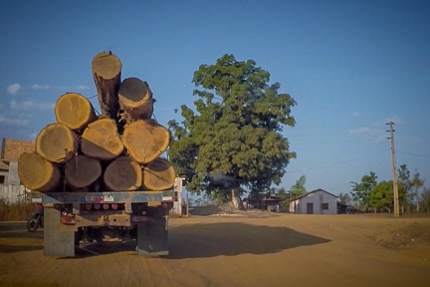 An illegal logging truck leaving the Cachoeira Seca Indigenous Territory. Criminal activity is common. Photo credit: Márcio Isensee e Sá