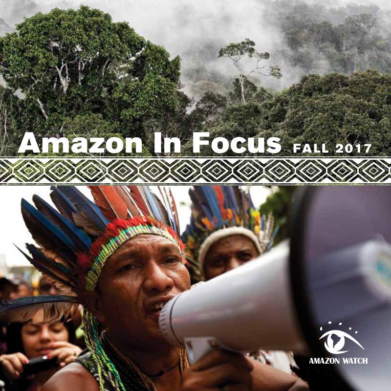 Amazon in Focus 2017