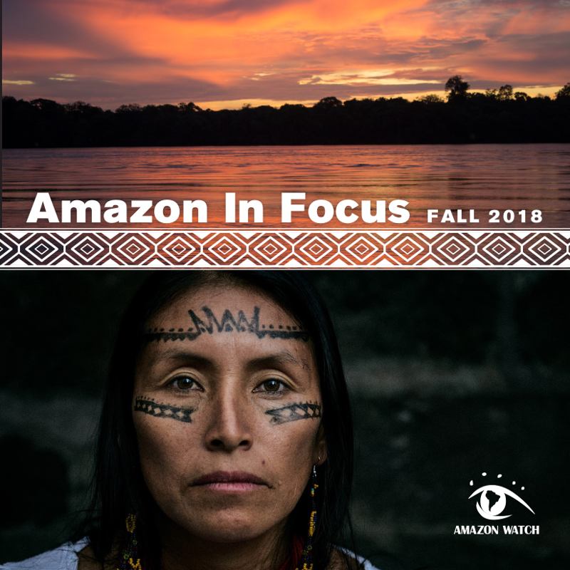 Amazon in Focus 2018