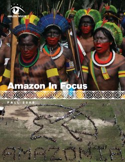 Amazon in Focus