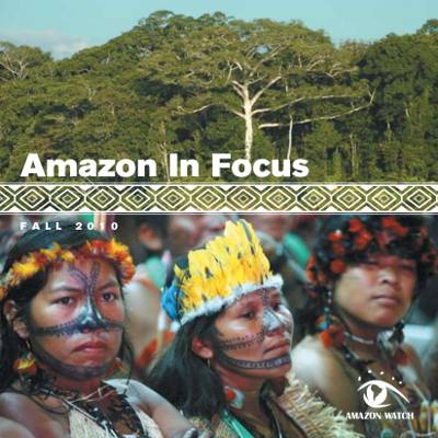 Amazon in Focus 2010