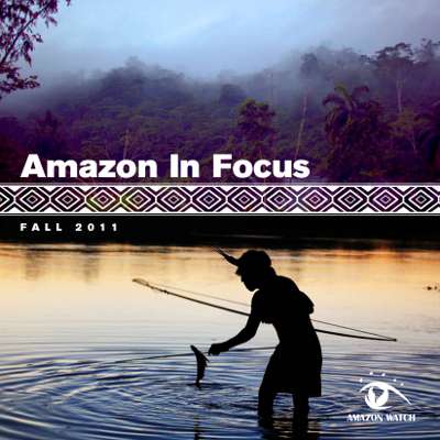 Amazon in Focus 2011