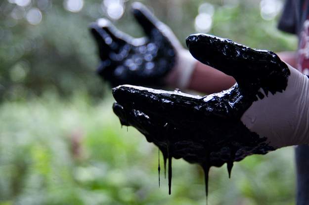 Crude oil left by Texaco (now Chevron) in the Amazon rainforest