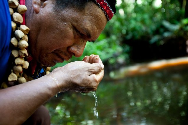 Cofan indigenous leader Emergildo Criollo smells for petroleum contaminants in a stream near his home in Ecuador's Amazon rainforest. Photo by Caroline Bennett.