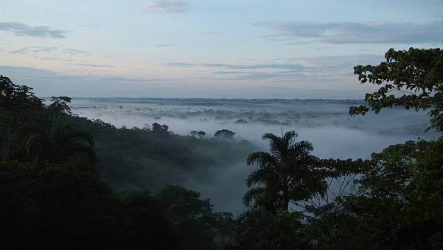 What's at stake for the Amazon region and its indigenous inhabitants in the upcoming election?