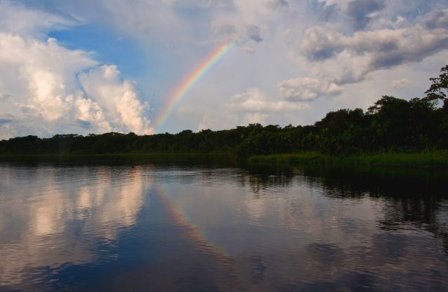 A rainbow over Yasuní National Park