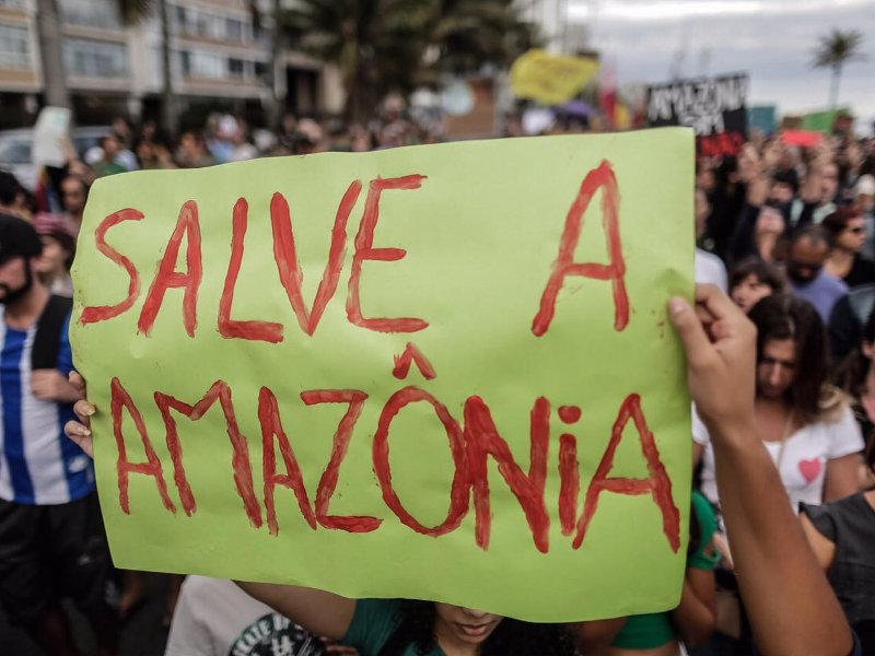 El Amazonas arde y el mundo responde