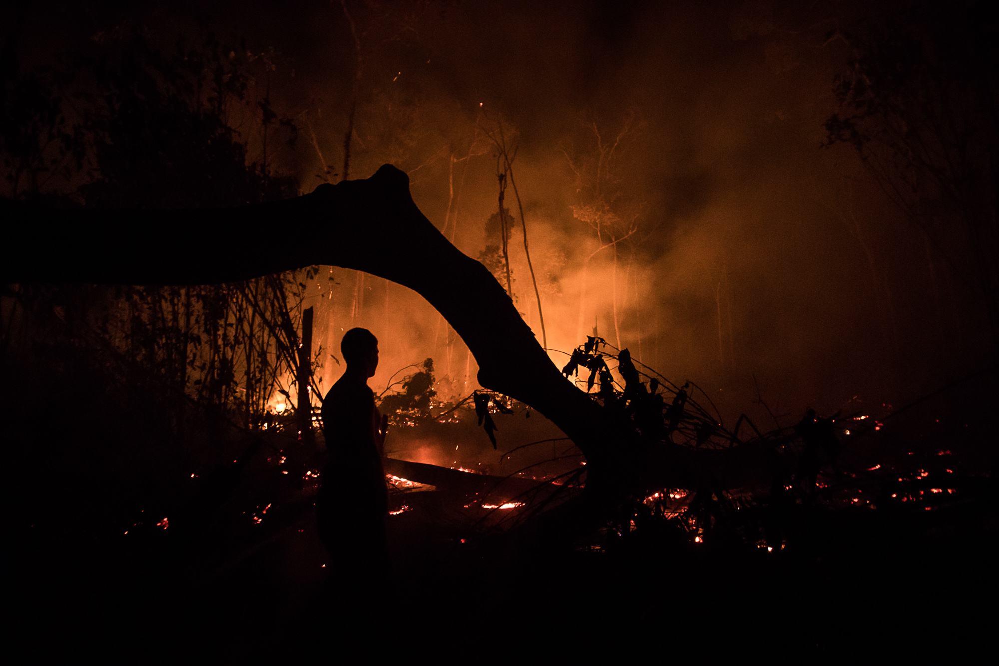 Resisting Another Record-Breaking Year of Deforestation and Destruction in the Brazilian Amazon