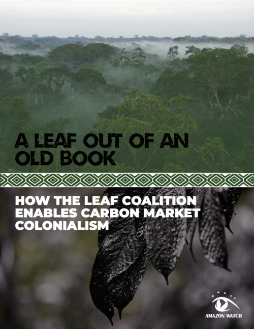 Cover page of LEAF Coalition report