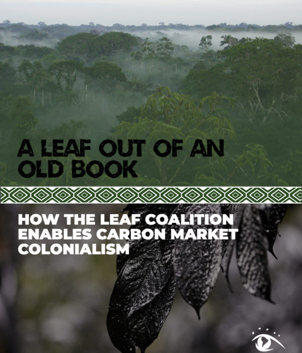 Cover page of LEAF Coalition report