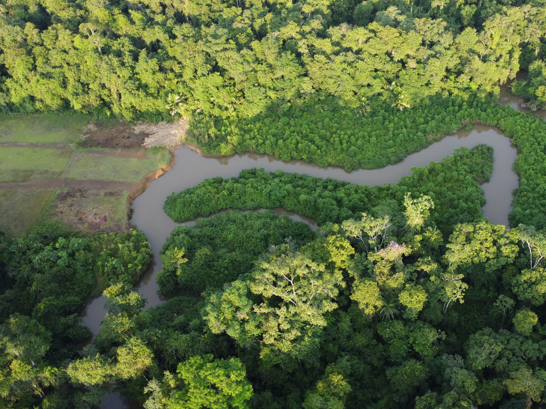 In Ecuador, Environmentalists Worry Noboa Is Unwinding Nation&rsquo;s Green Reputation