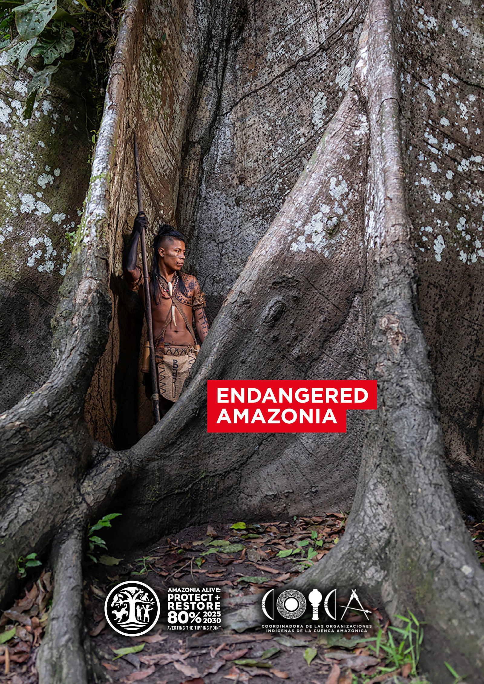 Endangered Amazon&iacute;a
