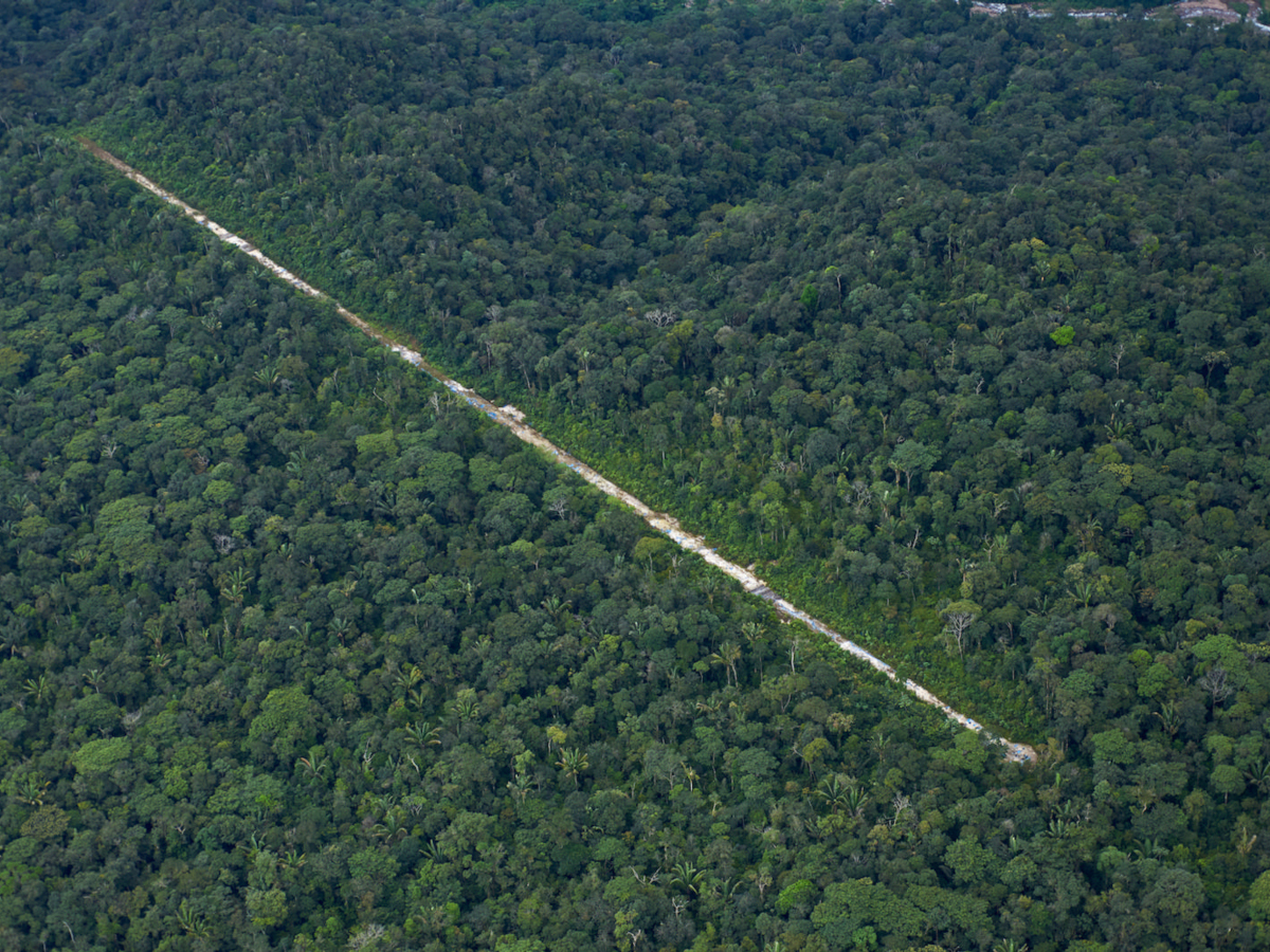 The Fight Against Climate Change Is Also a Fight Against Organized Crime