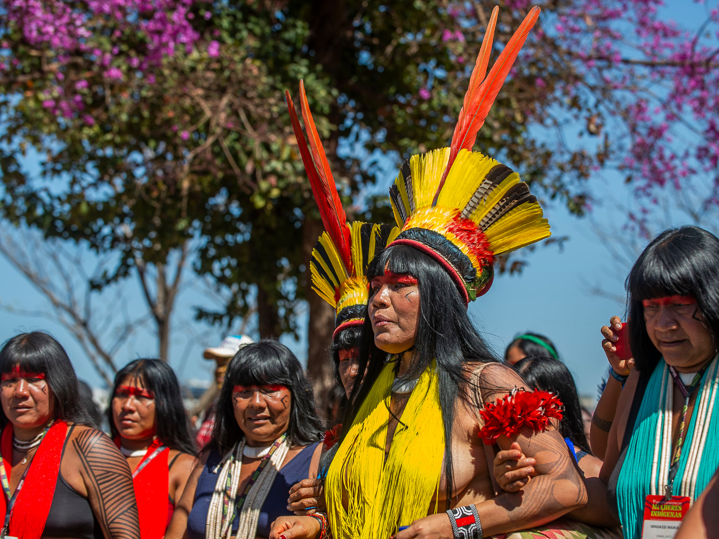 Indigenous Leadership and Collective Power in 2025