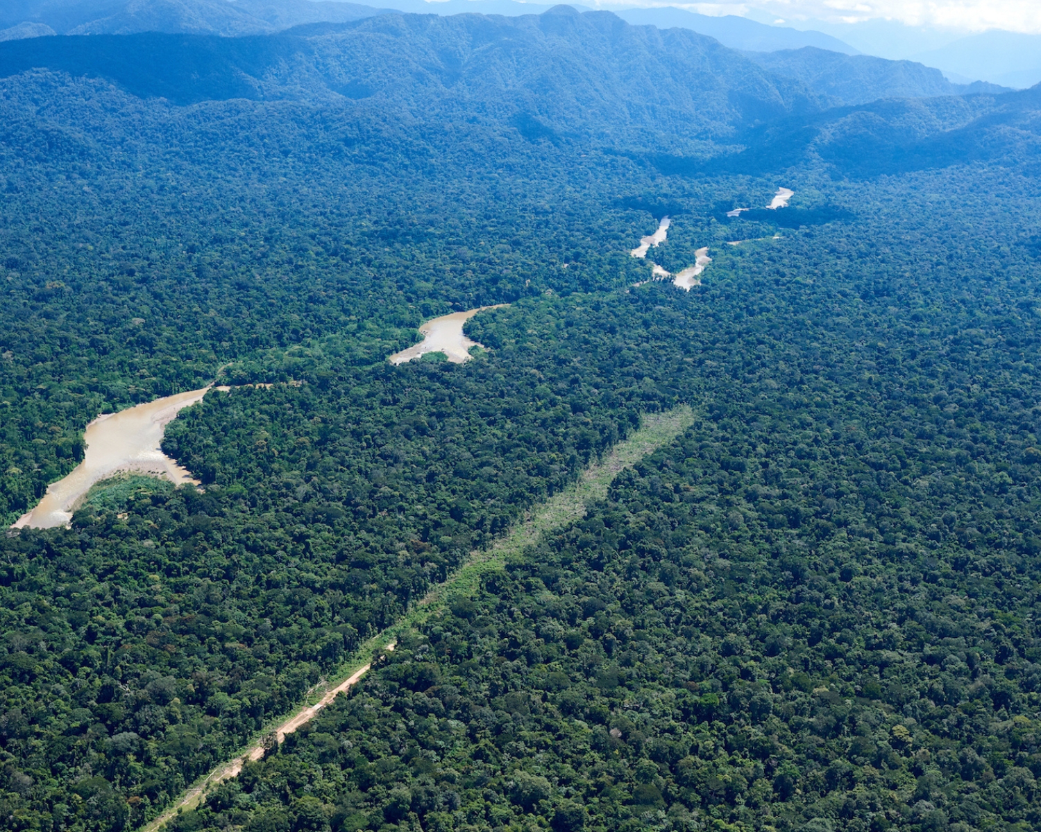 Inter-American Commission on Human Rights: Peru Must Protect Kakataibo People in Isolation