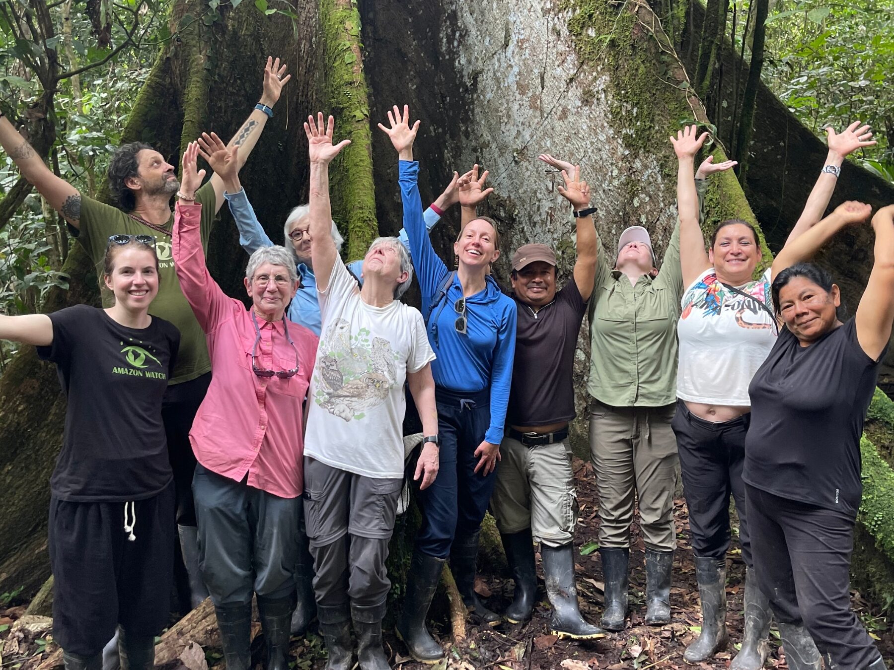 Resistência incansável pela Mãe Natureza