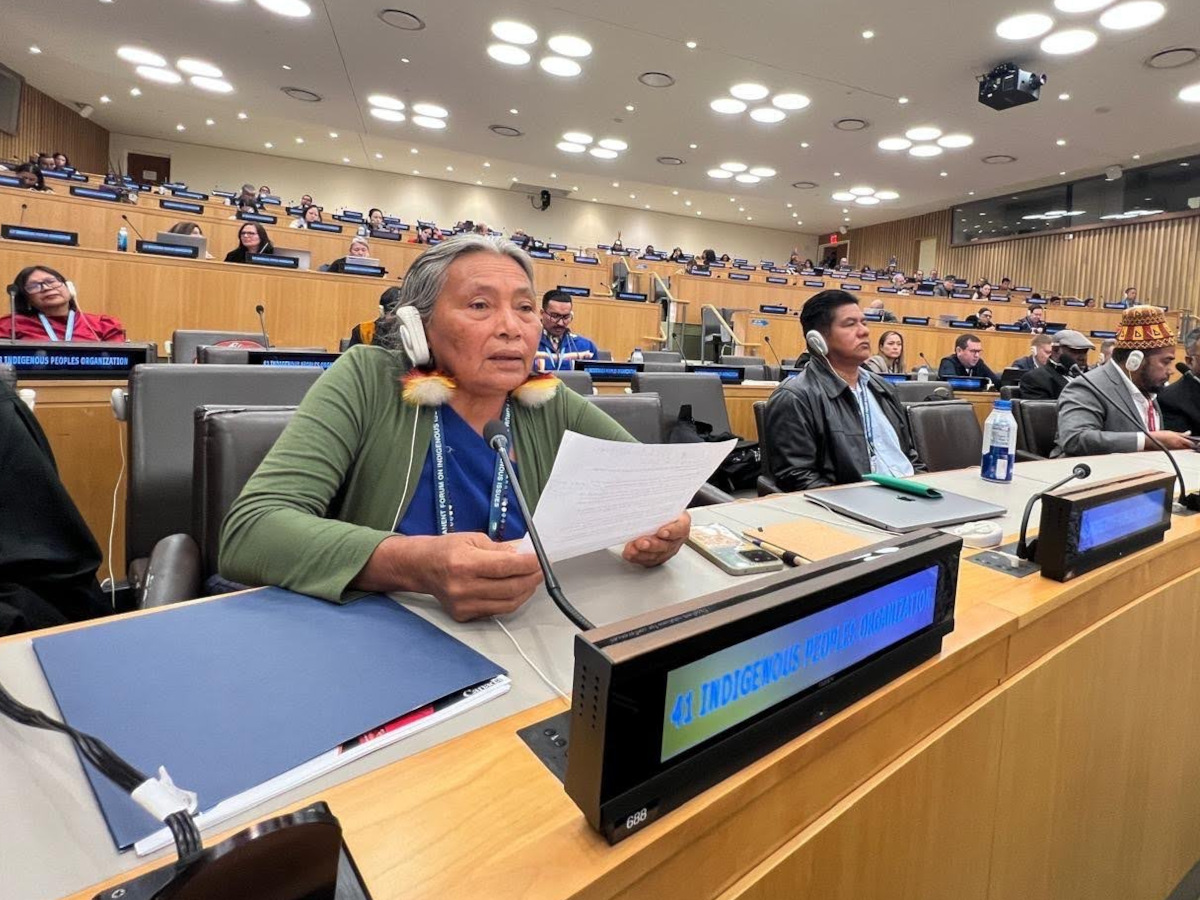 Indigenous Peoples Call on U.N. Action as Organized Crime Expands Across the Amazon