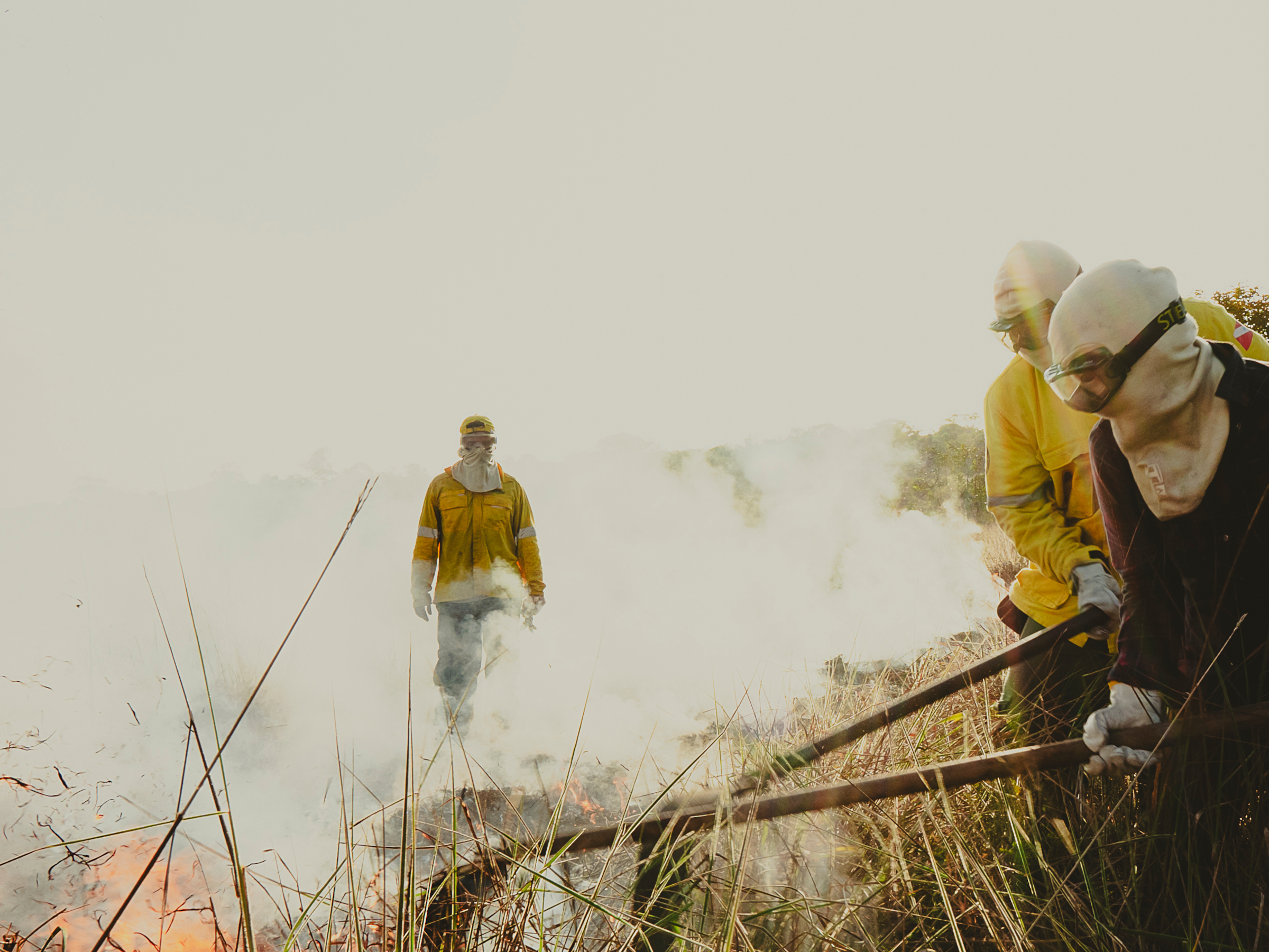 El Niño Returns to an Amazon Already on the Brink